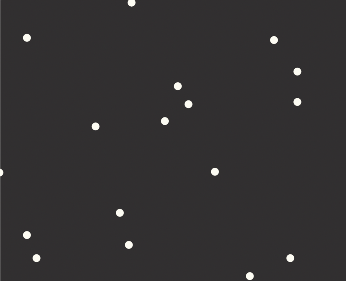 Café Lara & Roastery Photos 2